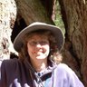 Profilbild von Pamela West