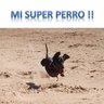 bulon88 🇦🇷 的头像