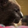 Matthijs den Daas 🌱 profil fotoğrafı