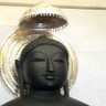 Rajeev Jain's profile picture