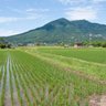 Фото профиля 筑波山が好き