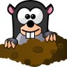 Profilbild von Chris Mol