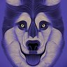 Teamstrannon profil fotoğrafı