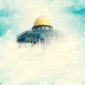 محمد شافعی profil fotoğrafı