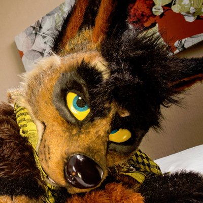 _Uro's profile picture