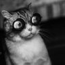 TheYiro_17 profil fotoğrafı