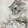 Фото профиля Midori ☕️🐈⬛みどりり