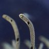 Фото профиля ぬるさぽ