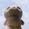Profilbild von モトキ