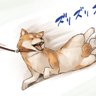 ねむみがやばい's profile picture