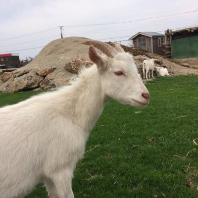 g9S_vpn's profile picture