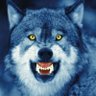 Blue Wolf profil fotoğrafı