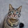 Фото профиля TodaysQuest