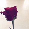 Latefa Ahmed's profile picture