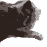Dave LibraryCat profil fotoğrafı