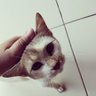 A.M profil fotoğrafı