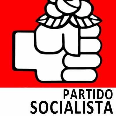 Partido Socialista's profile picture