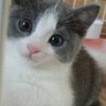 めめ's profile picture