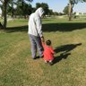 الأذرعي الشامي's profile picture