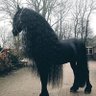 Фото профиля محمد
