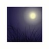 うが　そふもふれ profil fotoğrafı