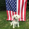 steve b's profile picture