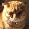 Profilbild von はるねこ📎