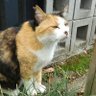 むらら profil fotoğrafı