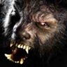 Miguel Díaz's profile picture