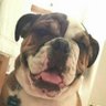 Deegahdo's profile picture