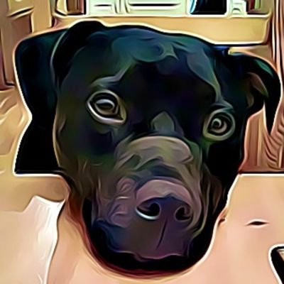 DerekMillerTime's profile picture