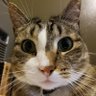 Profilbild von Harley Higgs