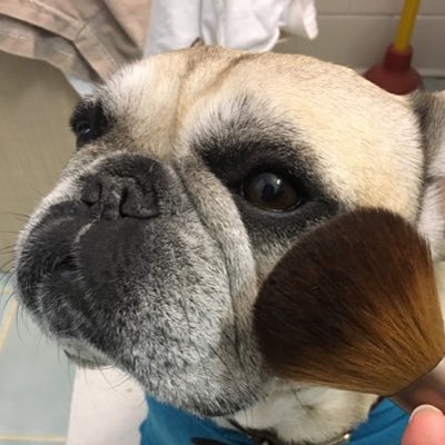 inkmonkeyhope's profile picture