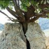 ابوفارس profil fotoğrafı