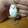 渡烏(:ΘⅴΘ:) 的头像