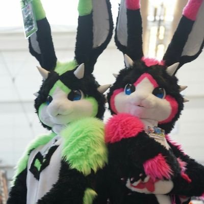 Gadget and Gizmo @ ANTHROCON DEALERS!!!'s profile picture