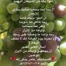 ابوعبدالرحمن المالكي 的头像