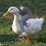 piprbomb profil fotoğrafı