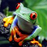 Фото профиля Deborah Robertson