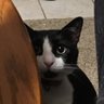 matrixghost1286's profile picture