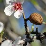 Фото профиля عبدالعزيز بن سعيد