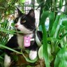 Esperanza Yepes Ocam's profile picture