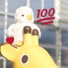さ や か 的头像