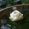 Hiramil 的头像