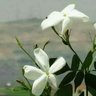 abubilal's profile picture