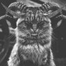 Фото профиля Duu