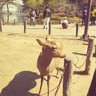 モリメッコ profil fotoğrafı