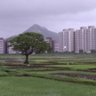 Mandar 的头像