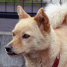 hideboh profil fotoğrafı
