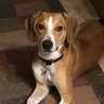 Jeffrey's profile picture